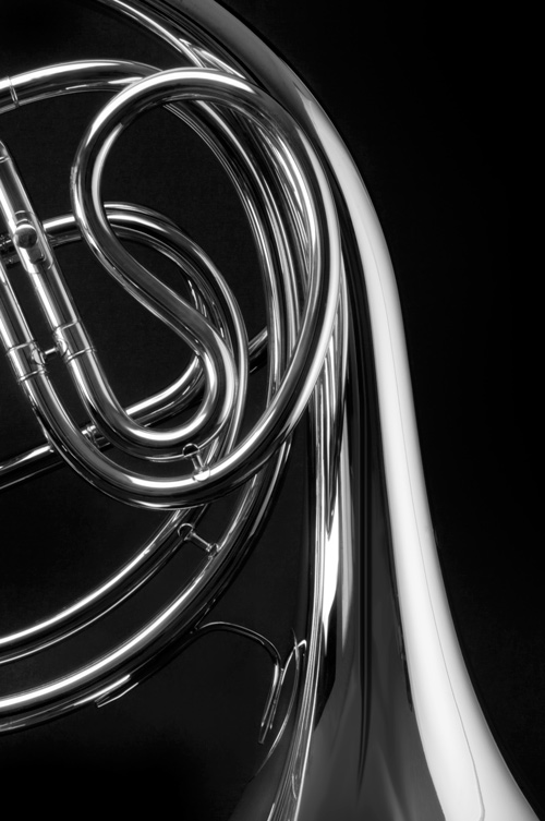 French_Curves